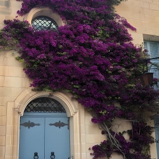 Mdina and Rabat Walking Tour inc. Catacombs and St. Paul's Grotto 5
