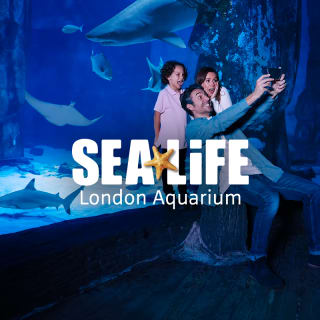 SEA LIFE London Aquarium: Entry + Drink 2