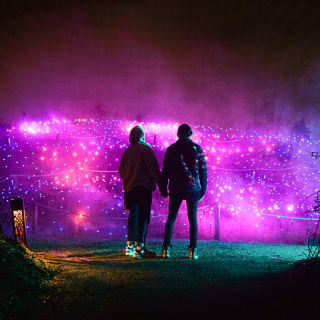 Astra Lumina: An Enchanted Night Walk Amongst the Stars - Gift Card 3
