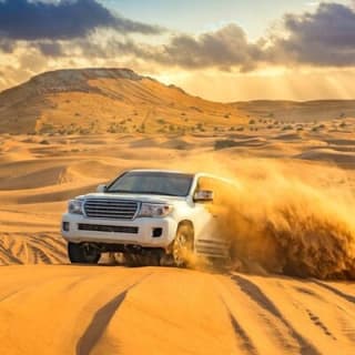 Doha: Desert Safari, Sand Boarding, Camel Ride & Inland Sea 8