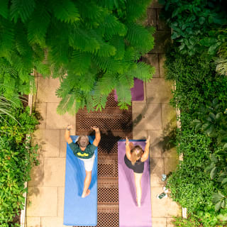 Temperate House Yoga Experience at The Royal Botanic Gardens, Kew 2