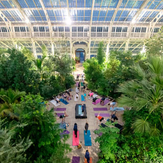 Temperate House Yoga Experience at The Royal Botanic Gardens, Kew 3