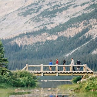 Columbia Icefield: Guided Day Tour from Banff + Skywalk Entry + Lunch 21