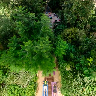 Temperate House Yoga Experience at The Royal Botanic Gardens, Kew 4
