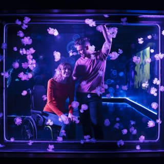 SEA LIFE London Aquarium: Entry + Drink 5