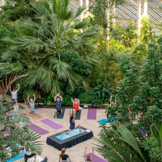 Temperate House Yoga Experience at The Royal Botanic Gardens, Kew 5