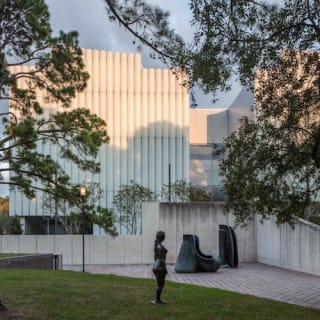 The Museum of Fine Arts, Houston: ALL ACCESS Ticket 11