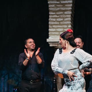 Museo del Baile Flamenco: Entrada + Espectáculo Flamenco Matinée 2