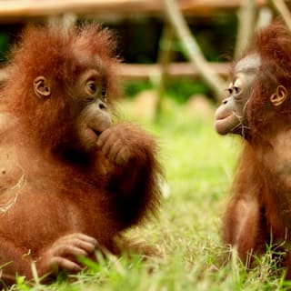 Lombok Wildlife Park: Intimate Wildlife Experience 3