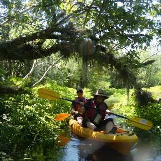 Exclusive Nature Escape Kayak Adventure sur Blackwater Creek 19