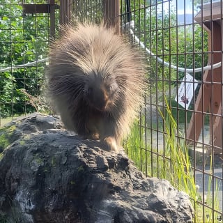 Wildlife Conservation Center with Lunch & Local Beer Sampling 8