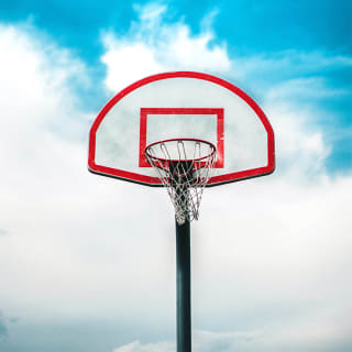 The Court: Iconic Basketball Mascots - Waitlist 2