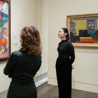 The Museum of Fine Arts, Houston: ALL ACCESS Ticket 14