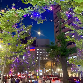 Osaka Highlights: 4-stündige geführte Spaziergangtour mit einem einheimischen Experten 20