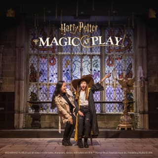Harry Potter™: Magic at Play 1