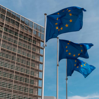 Visite guidée : Etterbeek, le petit village devenu capitale de l'Europe 1