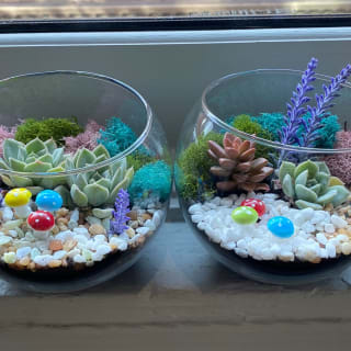 Open Succulent Terrarium 1