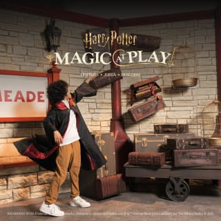 Harry Potter™: Magic at Play 3