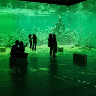 Jules Verne 200 : Le Voyage immersif - Carte-cadeau 3