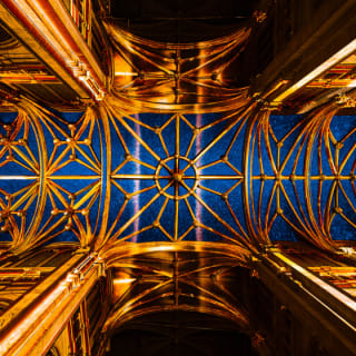 LUMINISCENCE Sacramento: A Spectacular Fusion of Light, Music, and Story - Waitlist 8