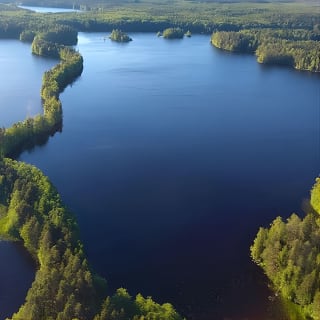 Magical Taiga Forest Hike con Almuerzo y Transporte 6