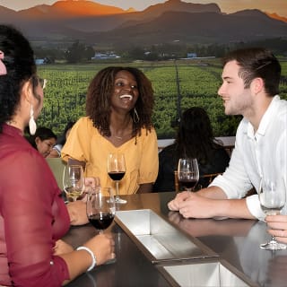Wine Tour: Paarl, Franschhoek & Stellenbosch incl 3 wineries 24