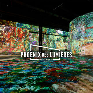 Monet: Erlebe ein immersives Meisterwerk bei Phoenix des Lumières 3