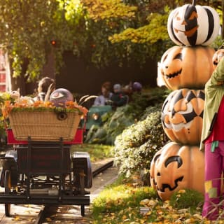 Tivoli Gardens: Halloween Entry Ticket 2