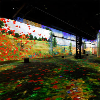 Monet: Erlebe ein immersives Meisterwerk bei Phoenix des Lumières 5