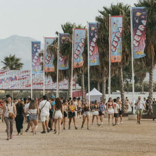 Zevra Festival 2026 7