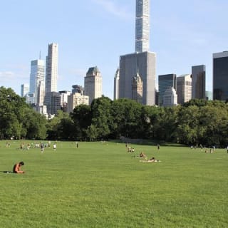 Alquiler de bicicletas tándem (dobles) en Central Park 3