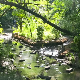 Secret Places of Central Park 2