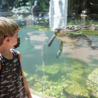 Bronx Zoo 2