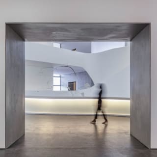 The Museum of Fine Arts, Houston: ALL ACCESS Ticket 20