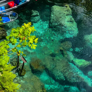 Clear Kayaking Eco Adventure Tour in Marianna 3