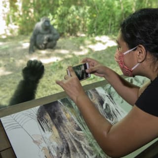 Bronx Zoo 3