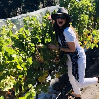 Valleys of Vino Tour 4
