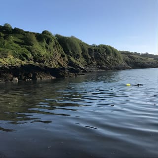 Dawn Pilgrimage and Swim in West Cork 5
