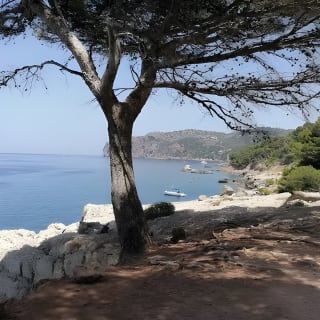 Paint outdoors in Deià by the sea 5