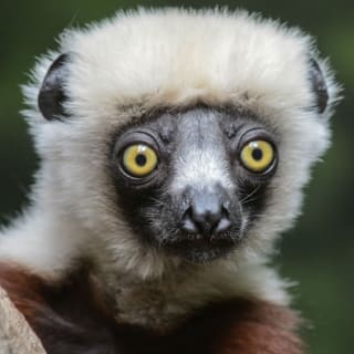 Bronx Zoo 5