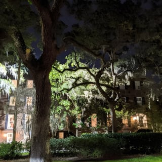 Fraidy Cat: The Family Fun Ghost Tour of Savannah 5