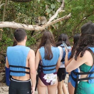 Miami: Insel-Schnorcheltour per SUP oder Kajak 24