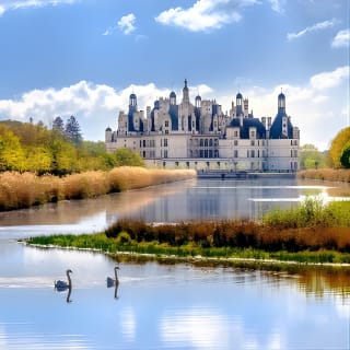 Excursion d'une journée dans les châteaux de la Loire au départ de Paris avec dégustation de vin 5
