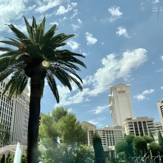 Las Vegas Neon and Secrets: Self-Guided Audio Tour 16