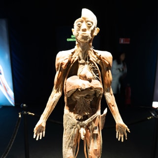 Bodies Evolution: Cuerpos humanos reales - Copiapó 3