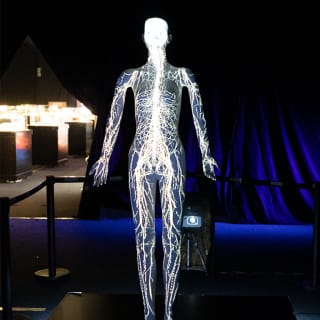Bodies Evolution: Cuerpos humanos reales - Copiapó 4