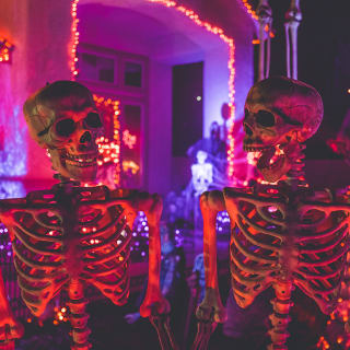 Halloween 10 1
