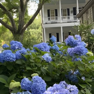 Outer Banks Film Locations Tour 20