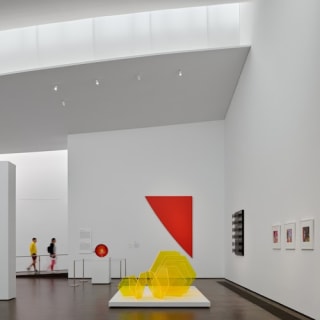 The Museum of Fine Arts, Houston: ALL ACCESS Ticket 28