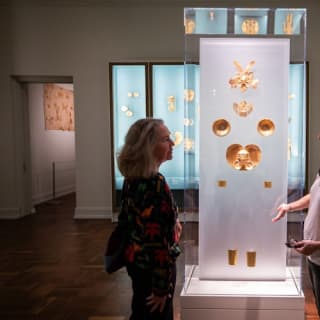 The Museum of Fine Arts, Houston: ALL ACCESS Ticket 29